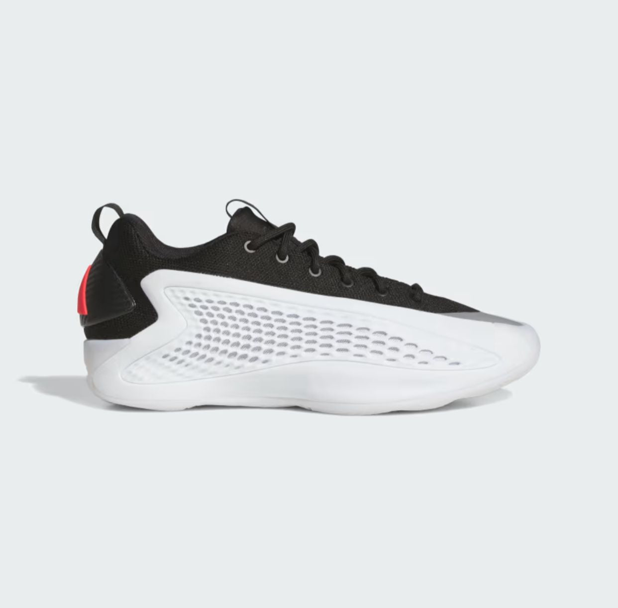 Anthony Edwards 1 Low shoes